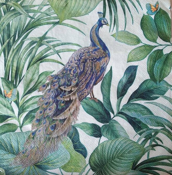 Vogels 1.109.084