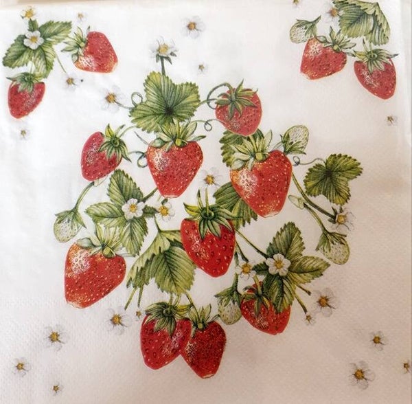 Bloemen & Planten 1.200.005