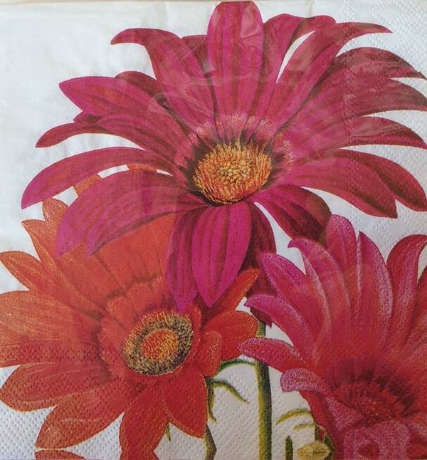 Bloemen & Planten 1.200.099