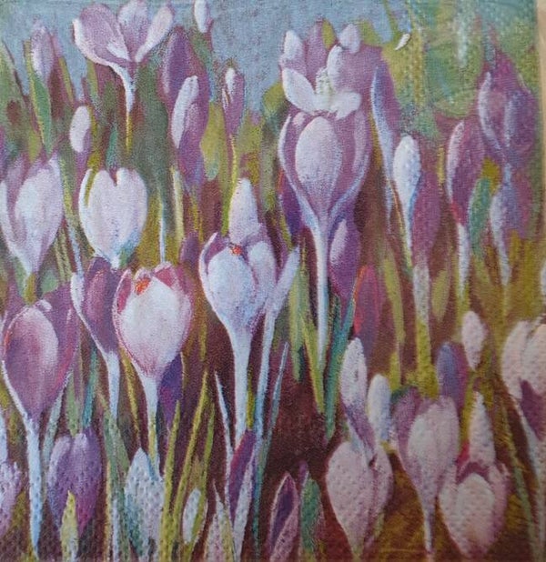 Bloemen & Planten 1.200.102