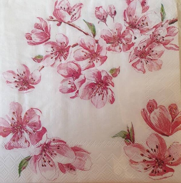 Bloemen & Planten 1.200.108