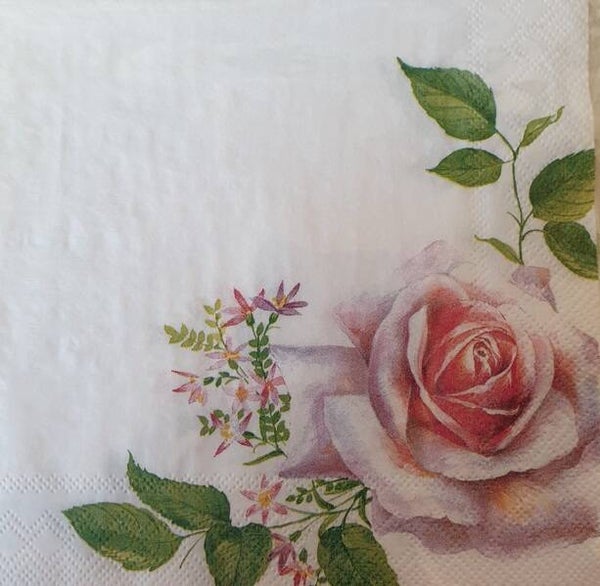 Bloemen & Planten 1.200.117