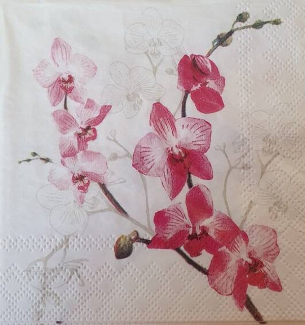 Bloemen & Planten 1.200.138