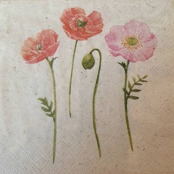 Bloemen & Planten 1.200.141