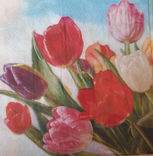 Bloemen & Planten 1.200.151