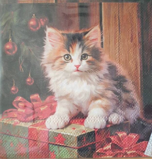 Kerst 1.700.067