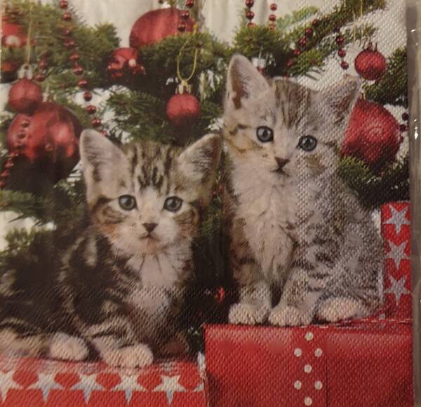 Kerst 1.700.104