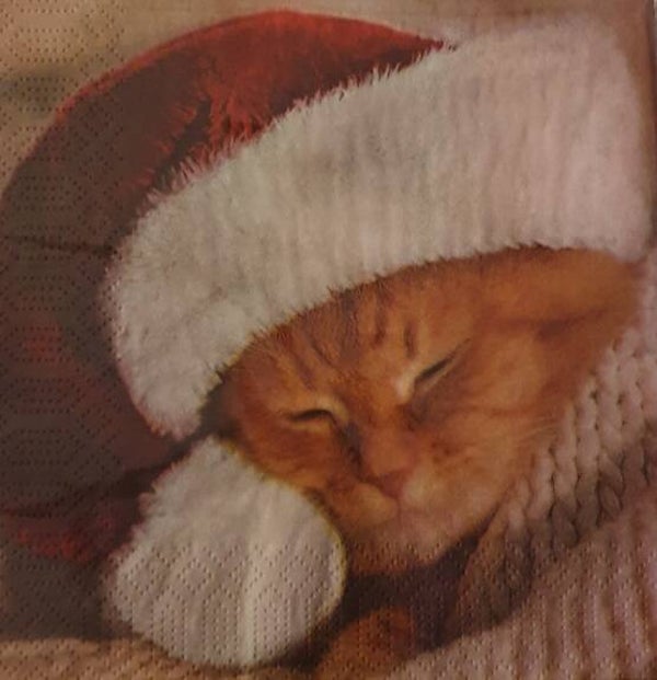 Kerst 1.700.110