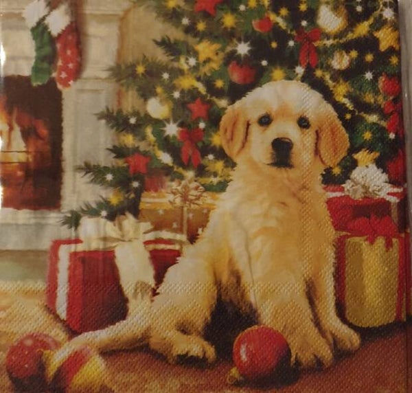 Kerst 1.700.115