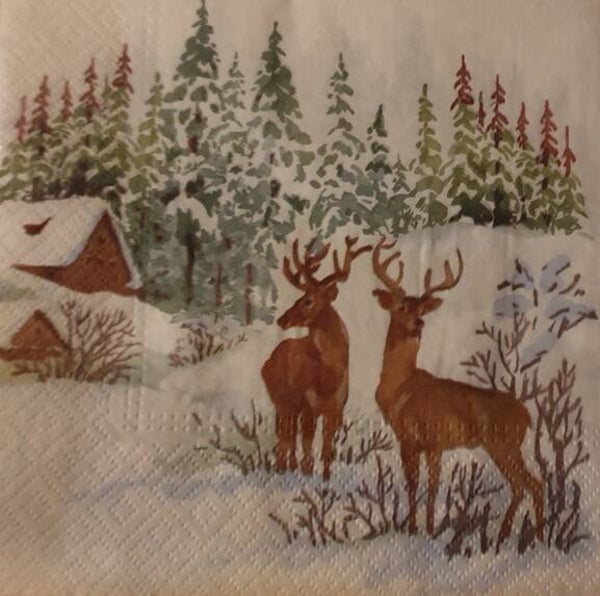 Kerst 1.700.153