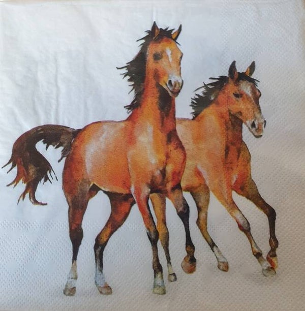 Paard 1.100.007