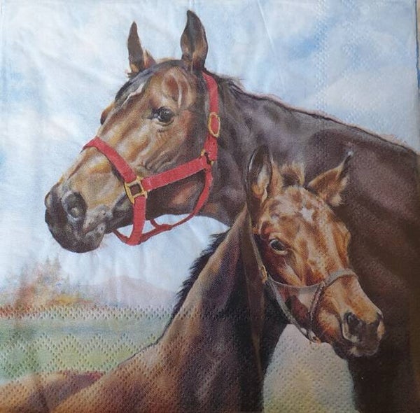 Paard 1.100.008