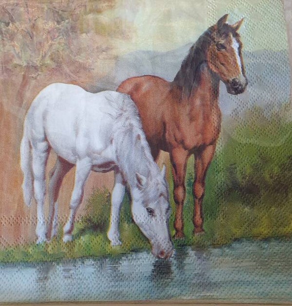 Paard 1.100.009