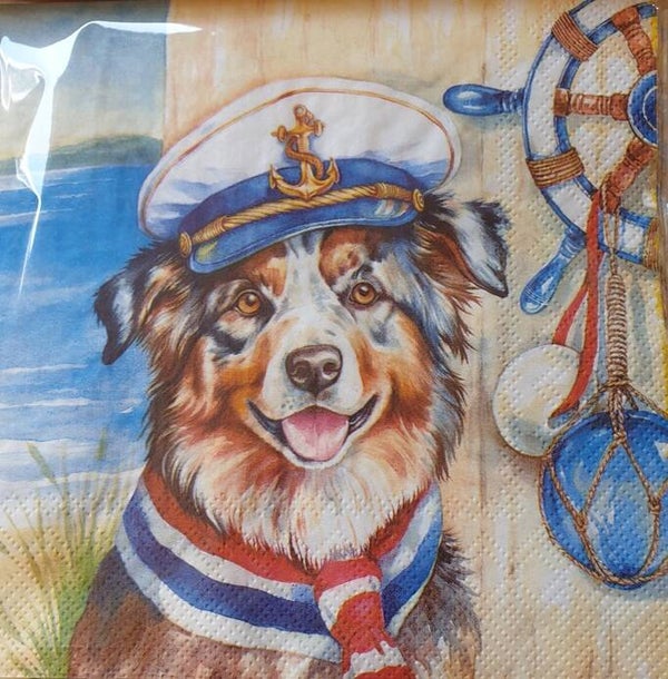 Honden 1.102.001