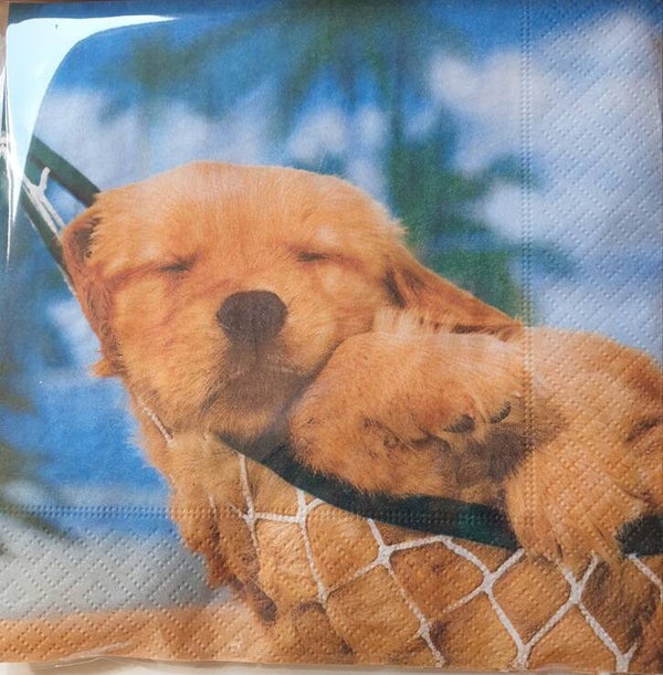 Honden 1.102.002