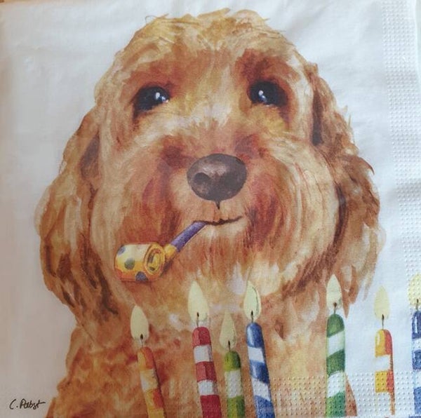 Honden 1.102.003
