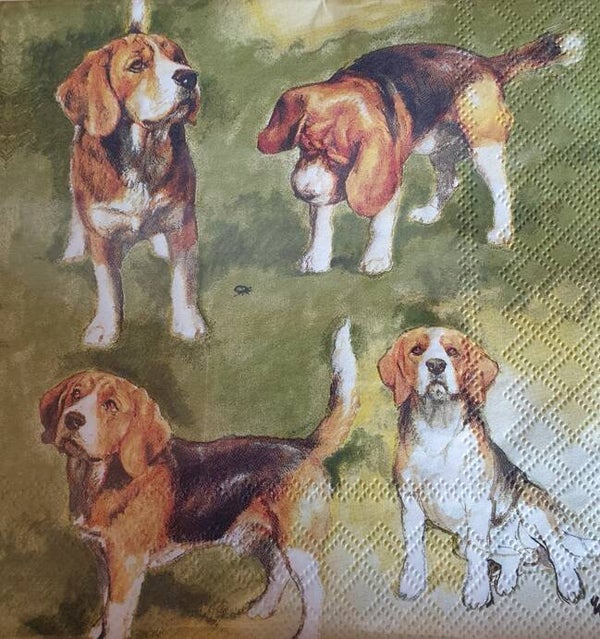 Honden 1.102.009