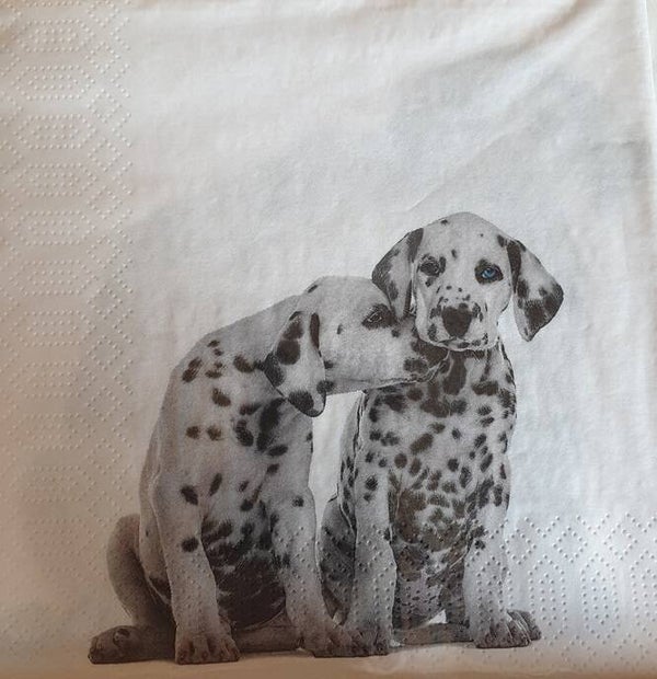 Honden 1.102.012