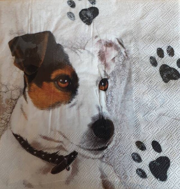 Honden 1.102.013