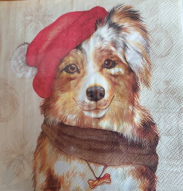 Honden 1.102.014