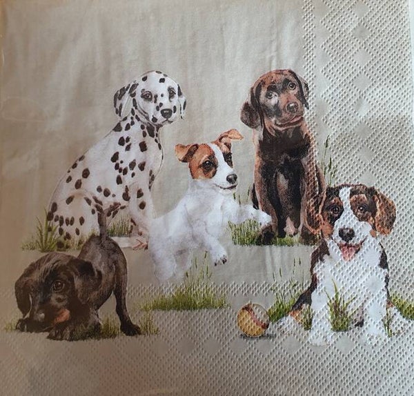 Honden 1.102.015