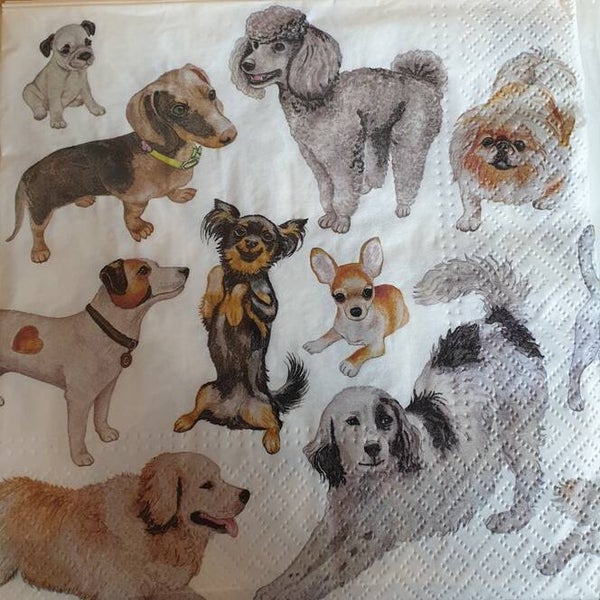 Honden 1.102.016