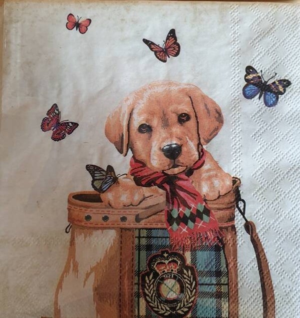 Honden 1.102.018