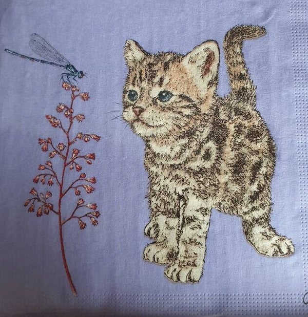 Katten 1.103.002