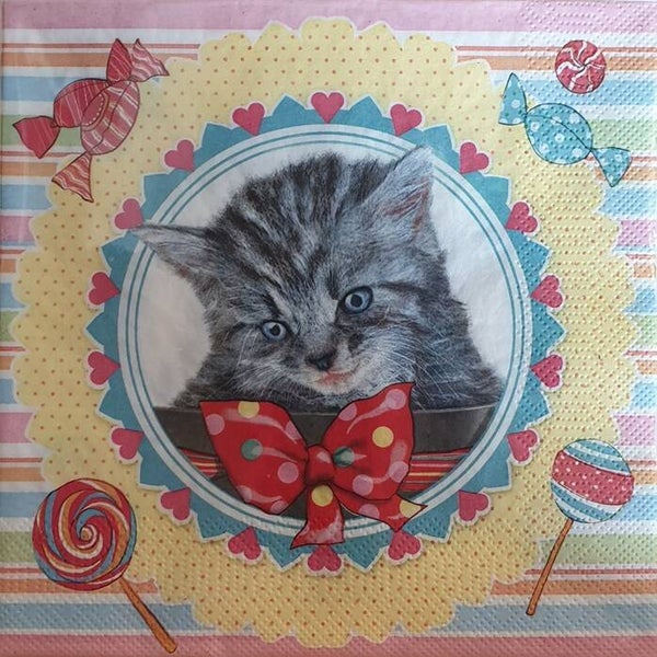 Katten 1.103.008