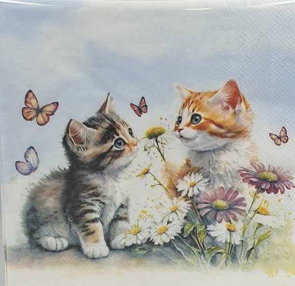 Katten 1.103.018