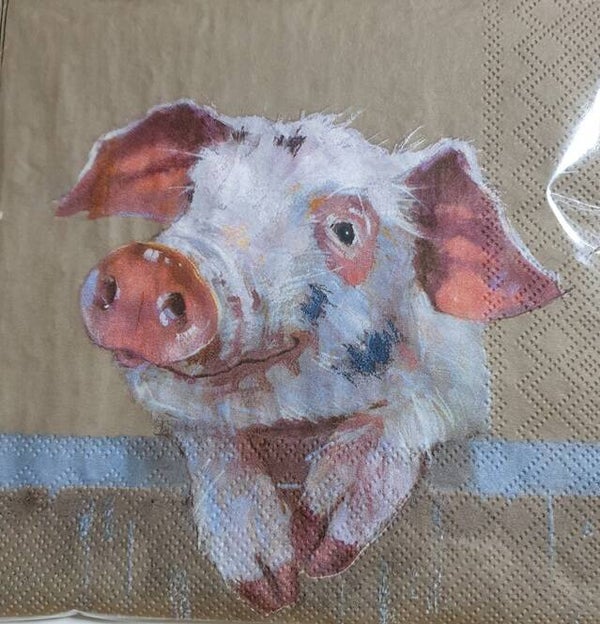 Varkens 1.104.002