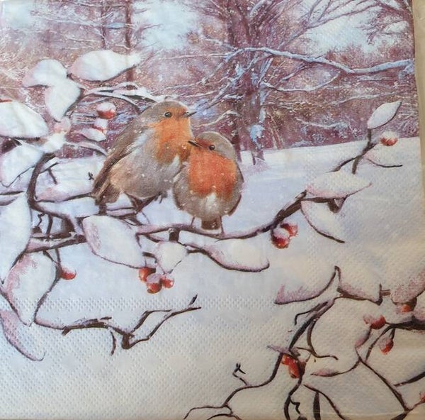 Vogels 1.109.002