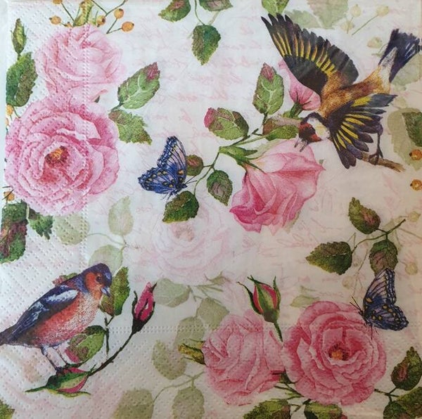 Vogels 1.109.011