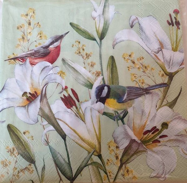 Vogels 1.109.015
