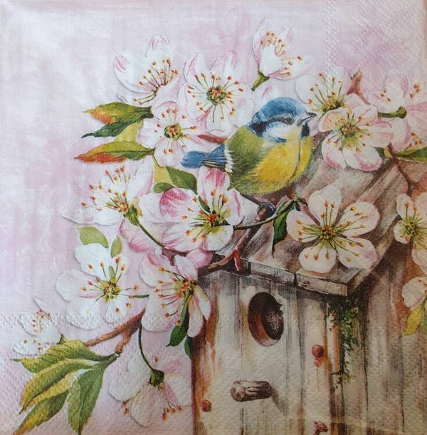 Vogels 1.109.016