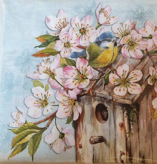 Vogels 1.109.021