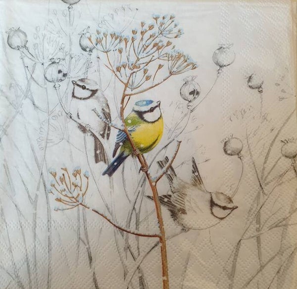 Vogels 1.109.022