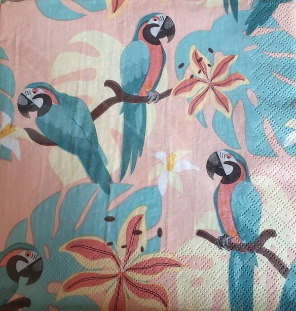 Vogels 1.109.029