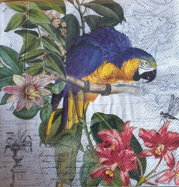 Vogels 1.109.038