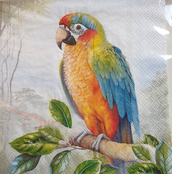 Vogels 1.109.050