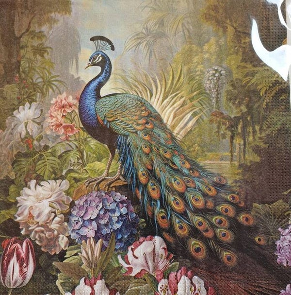 Vogels 1.109.053