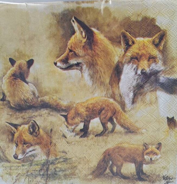 Wild 1.110.003