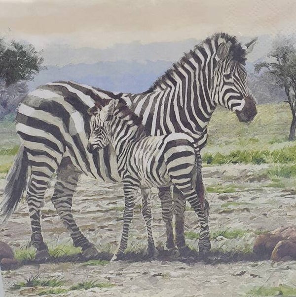 Afrikaanse dieren 1.111.006