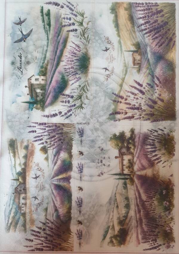 Allerlei A4 2.205.028