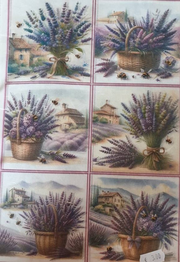 Allerlei A4 2.205.036