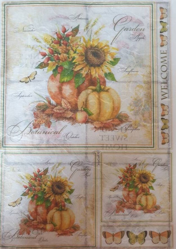 Allerlei A4 2.205.040