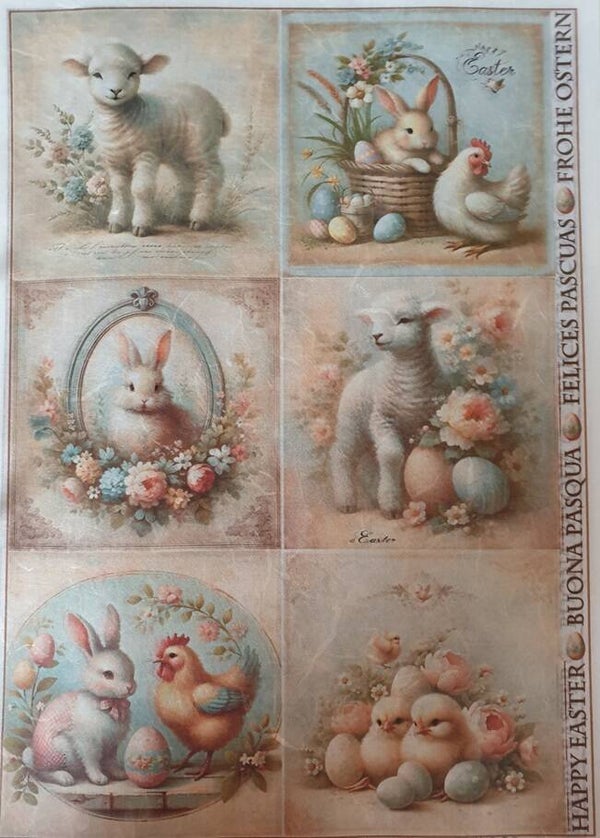 Allerlei A4 2.205.047