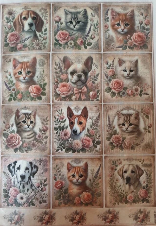 Allerlei A4 2.205.055