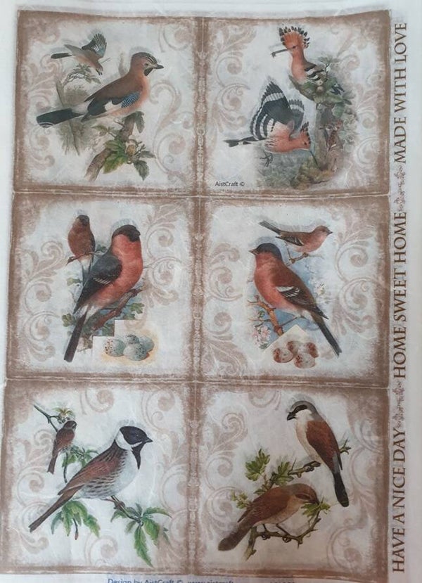 Allerlei A4 2.205.057