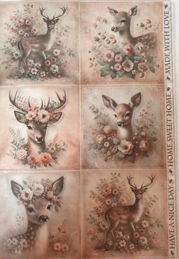 Allerlei A4 2.205.064